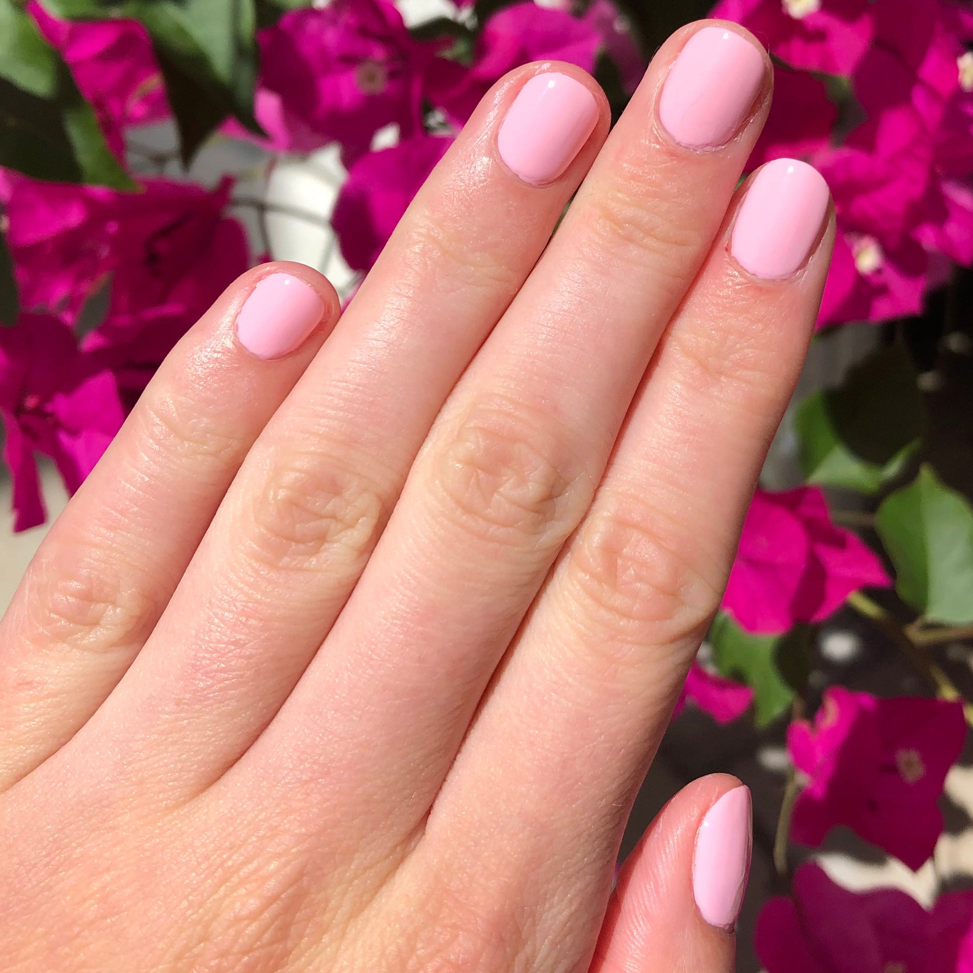 Hand with nails painted in soft, bright pink shade SE polish by Olive and June against vibrant pink flowers background