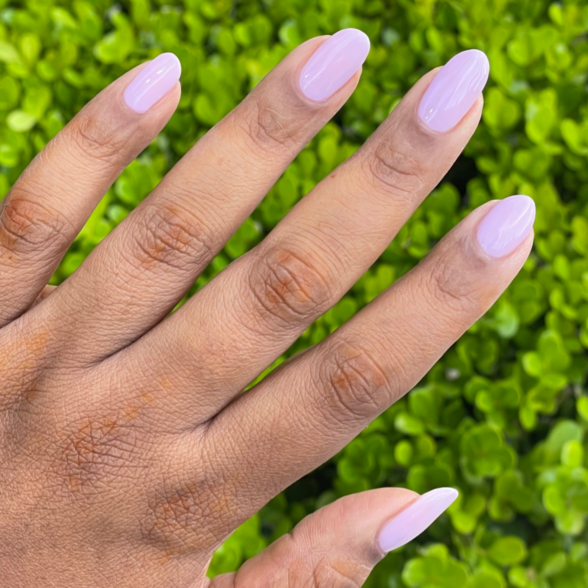Hand with medium oval nails painted in Dreamy sheer milky pastel lavender gel polish over green leaves background
