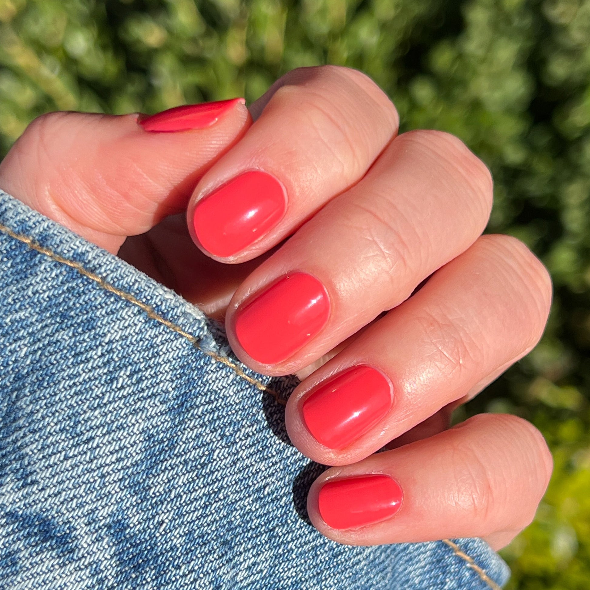 Hand with glossy nails painted in Field Day juicy watermelon red polish holding denim fabric for a fresh mani look