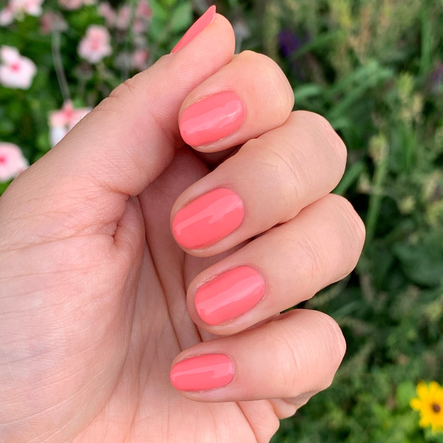 Hand with nails polished in Stinson Sunset gel polish showing a bright peachy-pink manicure outdoors