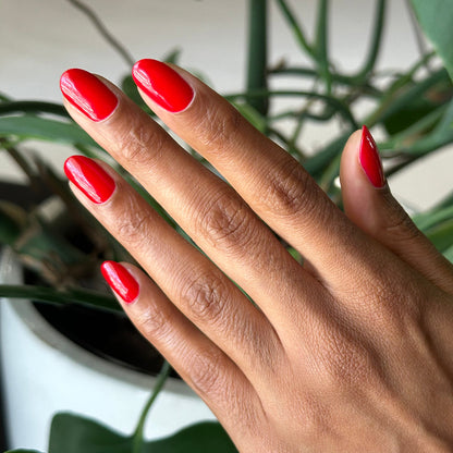Hand with medium-length nails polished in Secret Recipe blue-toned red gel polish against a plant background