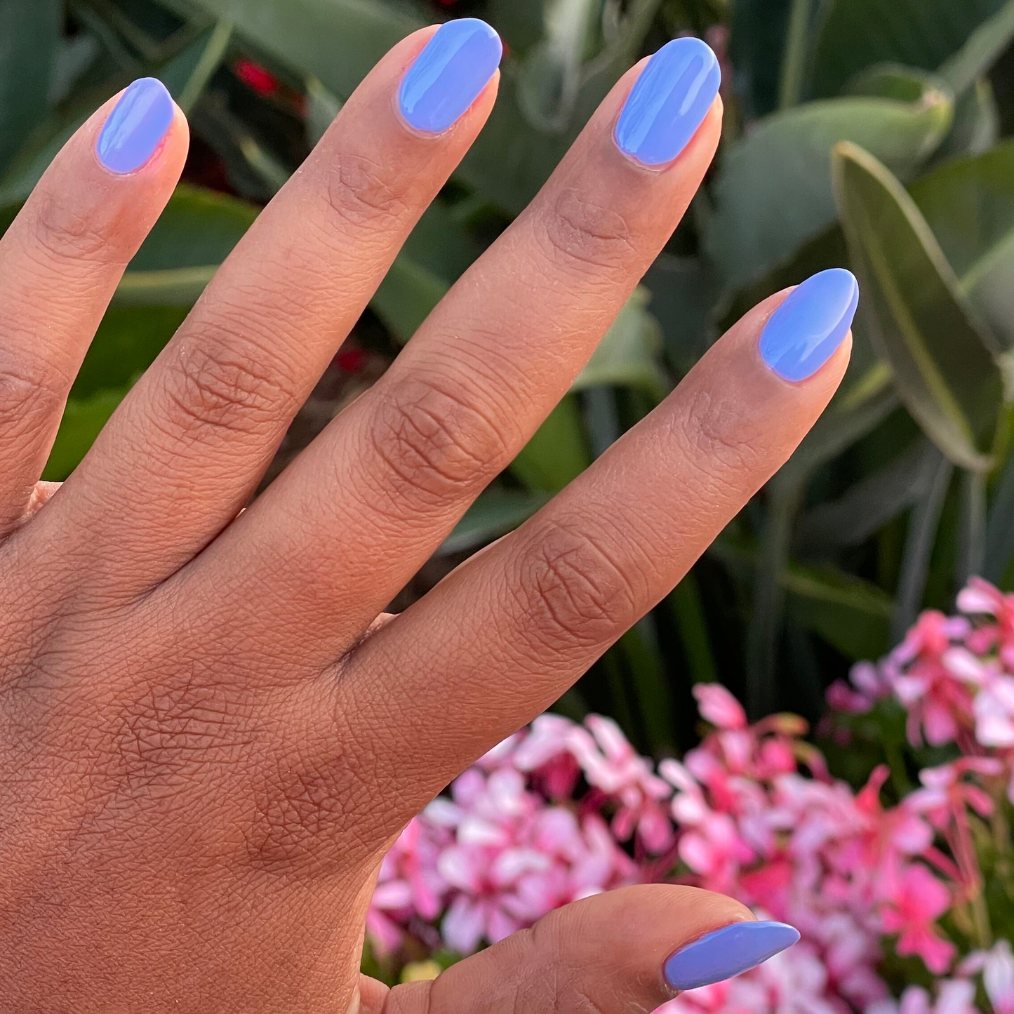 Hand with shiny nails painted in Rally Ready for a fresh manicure with dusty ultramarine blue polish