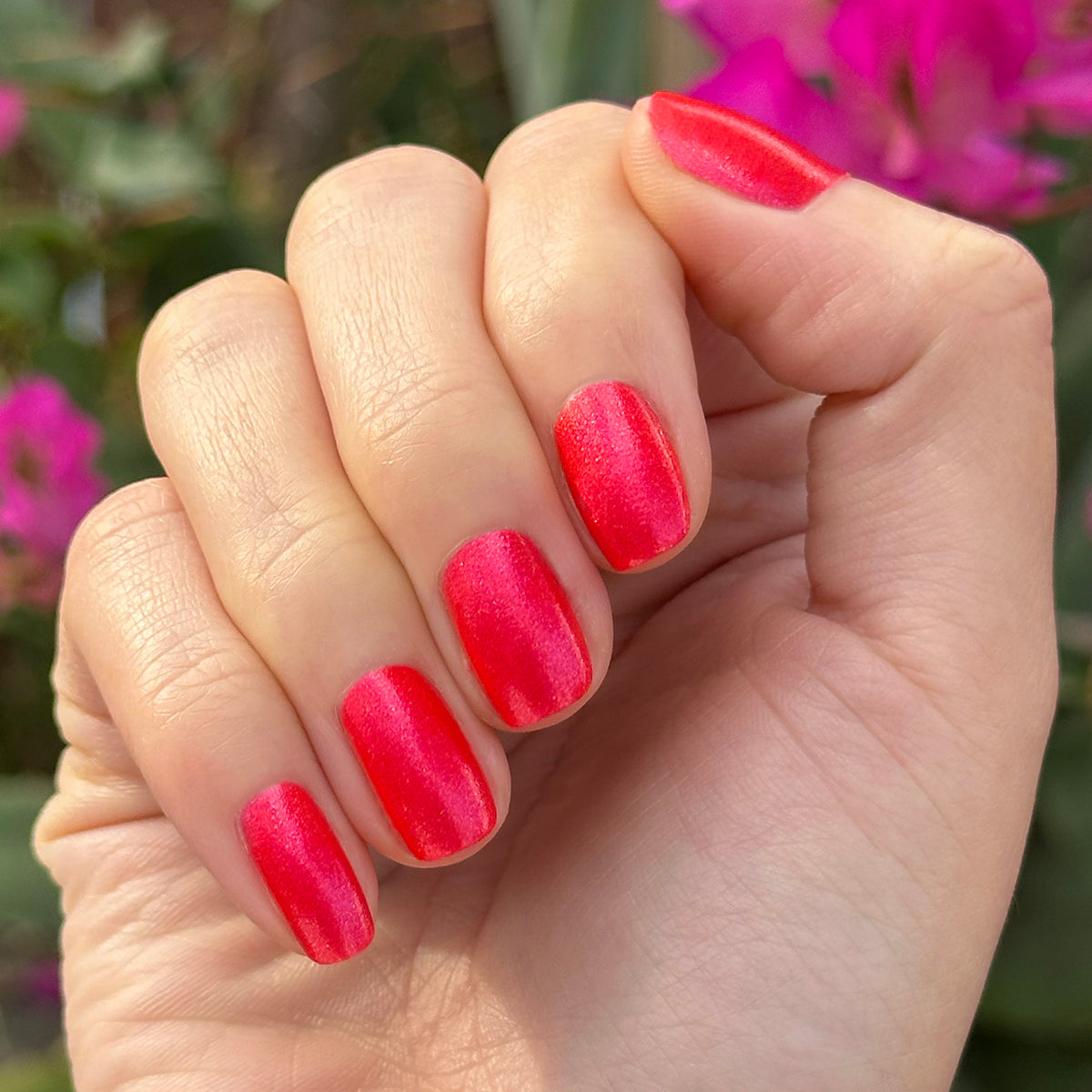 Hand with short nails painted bright pinky-red shimmer using Rodeo Queen polish for a vibrant at-home mani